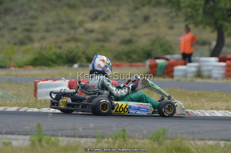 DSC_1041.jpg