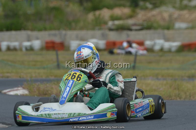 DSC_1130.jpg