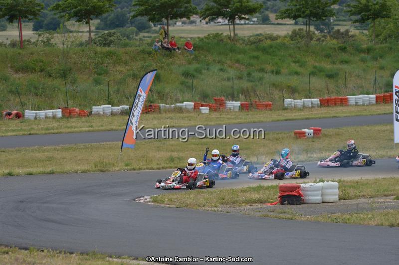 DSC_1215.jpg