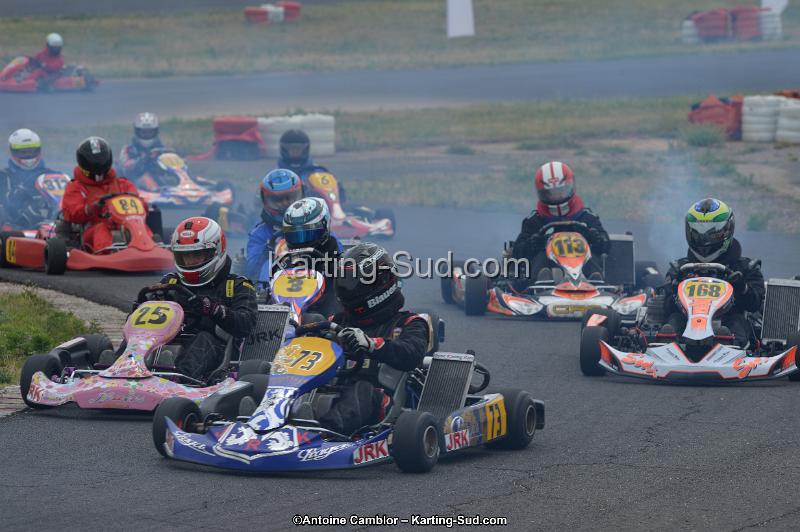 DSC_1217.jpg