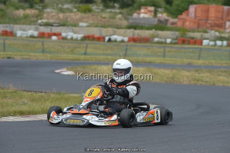 DSC_1296.jpg