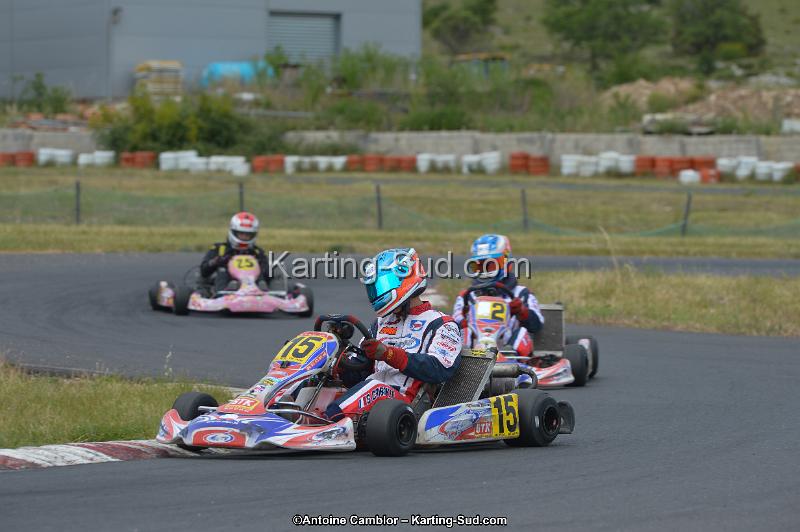 DSC_1300.jpg