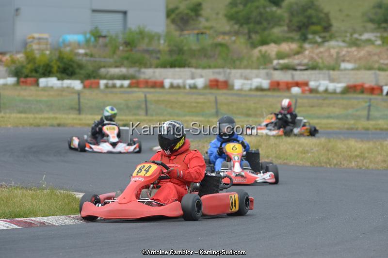 DSC_1305.jpg