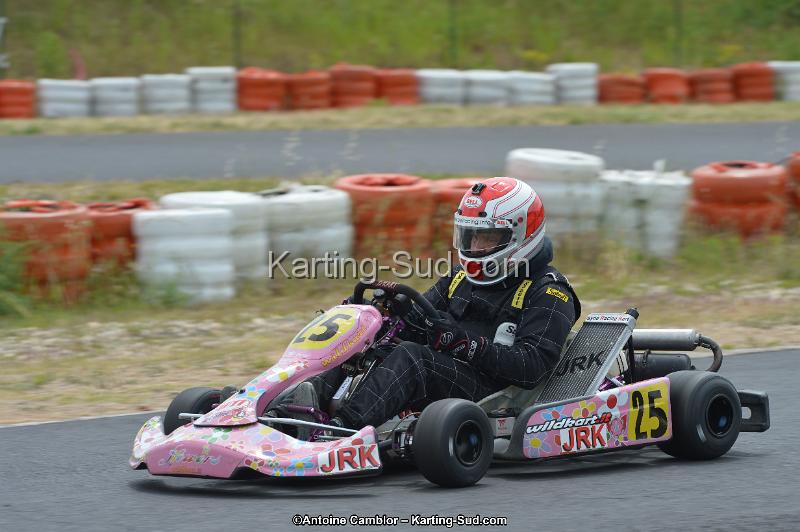 DSC_1335.jpg