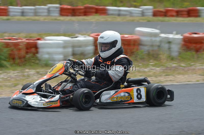 DSC_1347.jpg