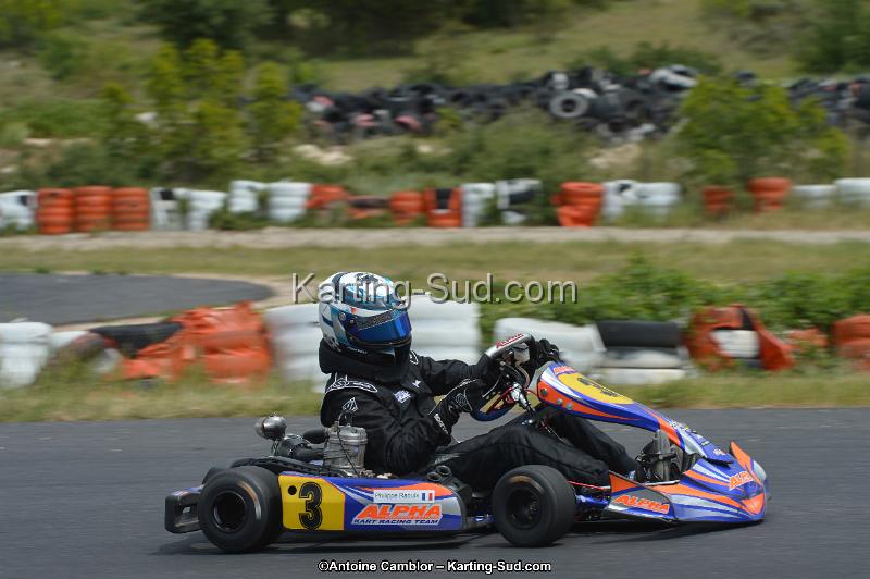 DSC_1349.jpg