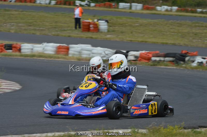 DSC_1369.jpg