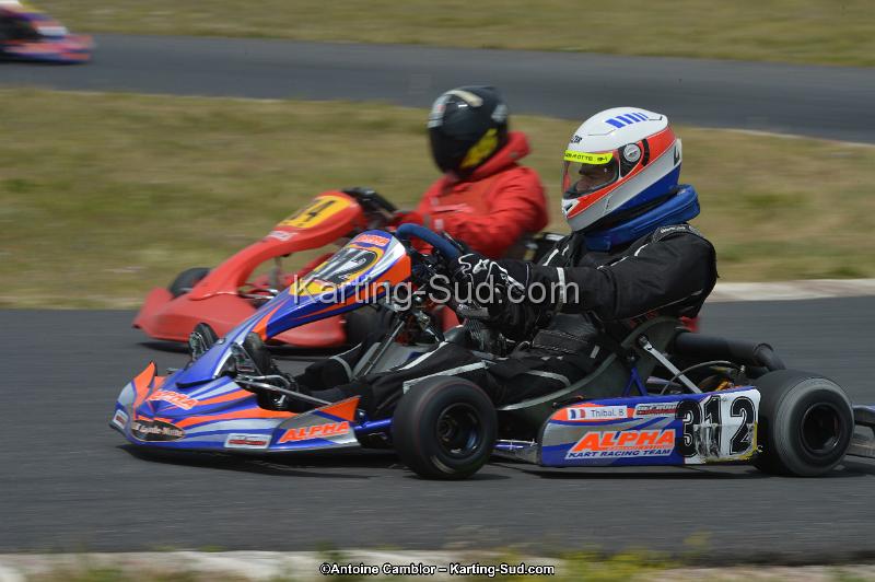 DSC_1419.jpg