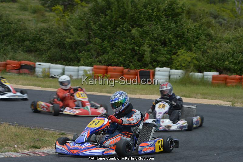 DSC_1532.jpg