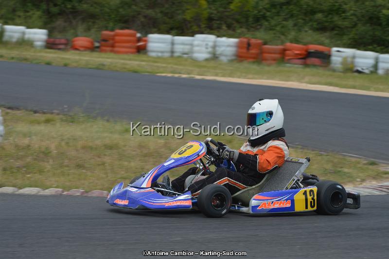 DSC_1537.jpg