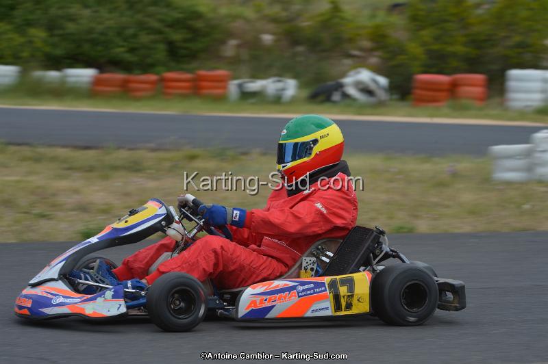 DSC_1546.jpg