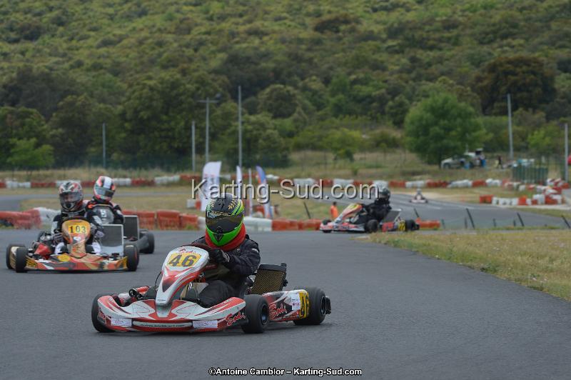 DSC_1555.jpg