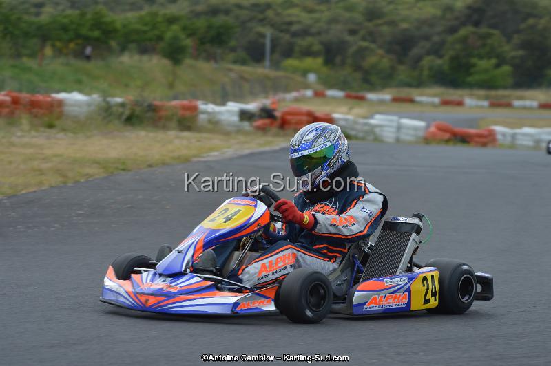DSC_1565.jpg