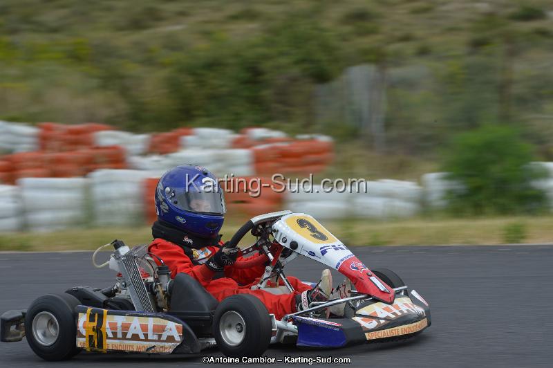 DSC_1667.jpg