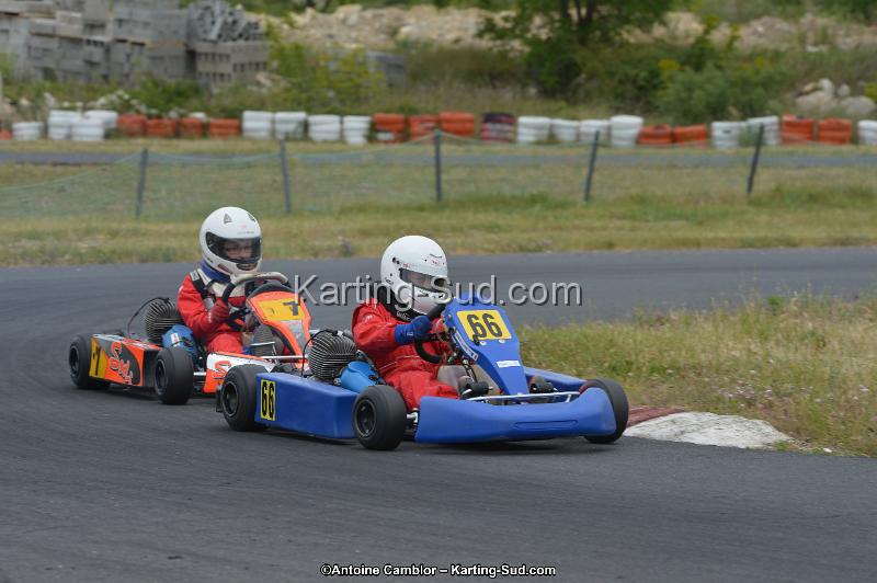 DSC_1733.jpg