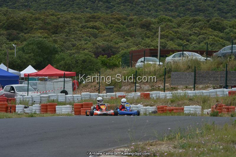 DSC_1768.jpg