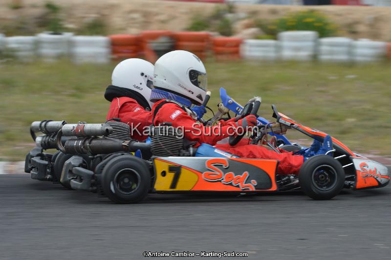 DSC_1772.jpg