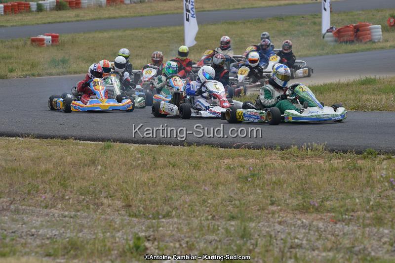 DSC_1800.jpg