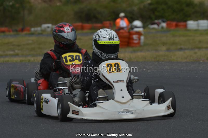 DSC_1865.jpg