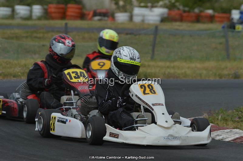 DSC_1896.jpg