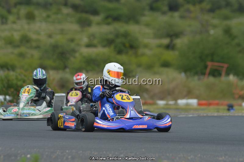 DSC_2000.jpg