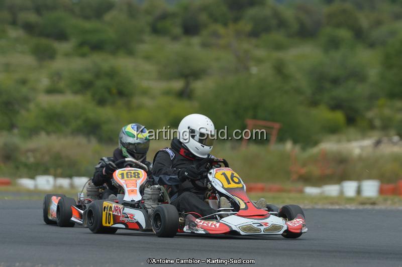 DSC_2008.jpg