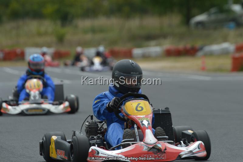 DSC_2011.jpg