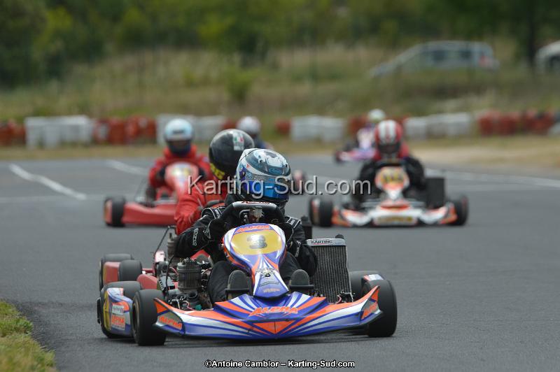 DSC_2013.jpg