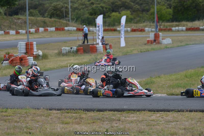 DSC_2115.jpg