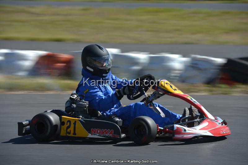 DSC_7986.jpg