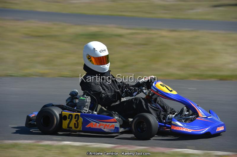 DSC_7988.jpg