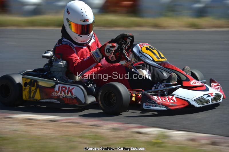 DSC_7995.jpg