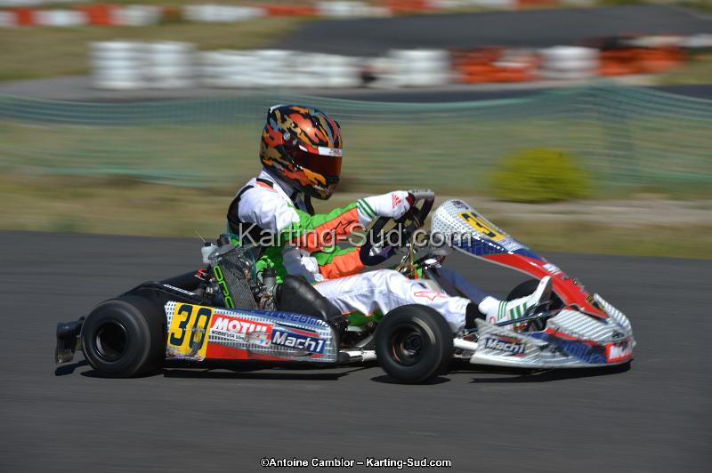 DSC_7997.jpg