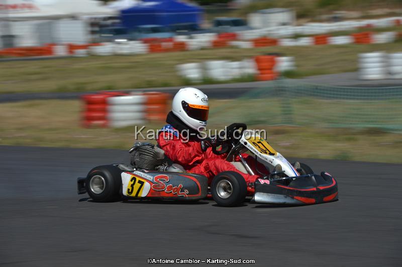 DSC_7998.jpg