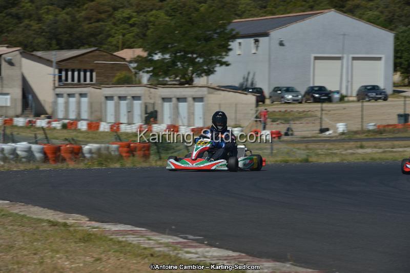 DSC_8000.jpg