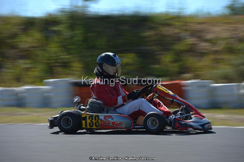 DSC_8018.jpg