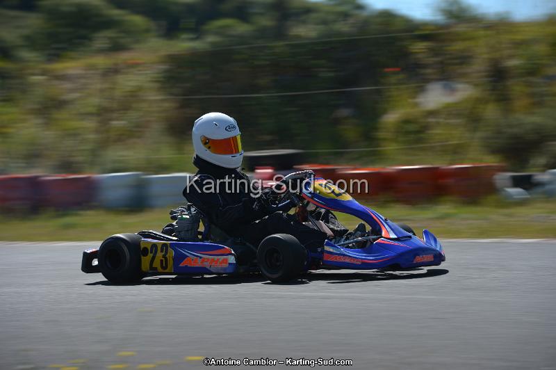 DSC_8019.jpg