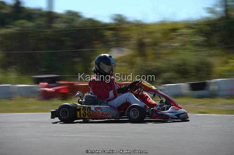 DSC_8028.jpg