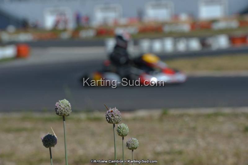DSC_8091.jpg