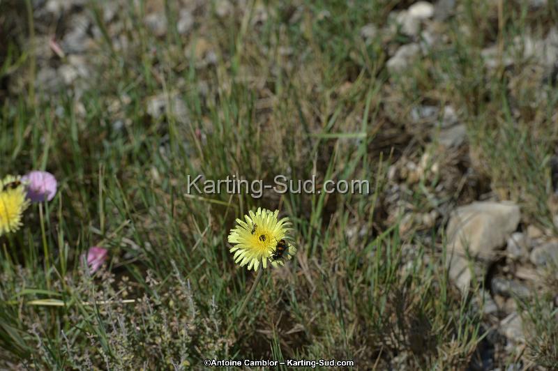 DSC_8107.jpg