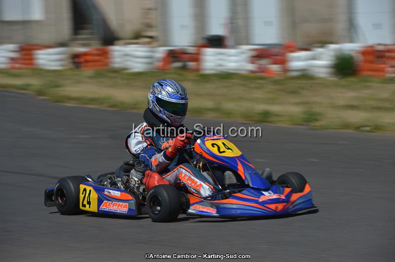 DSC_8113.jpg