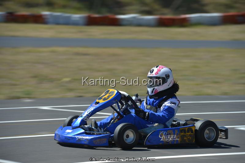 DSC_8135.jpg