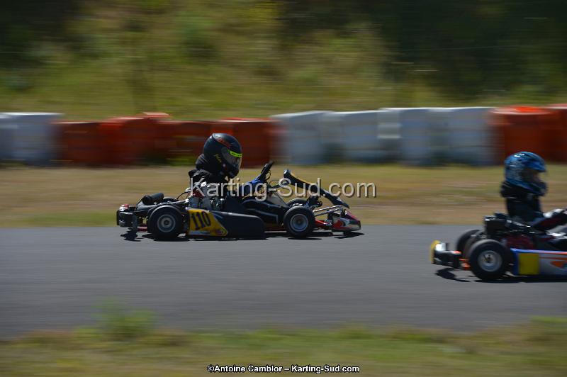DSC_8272.jpg