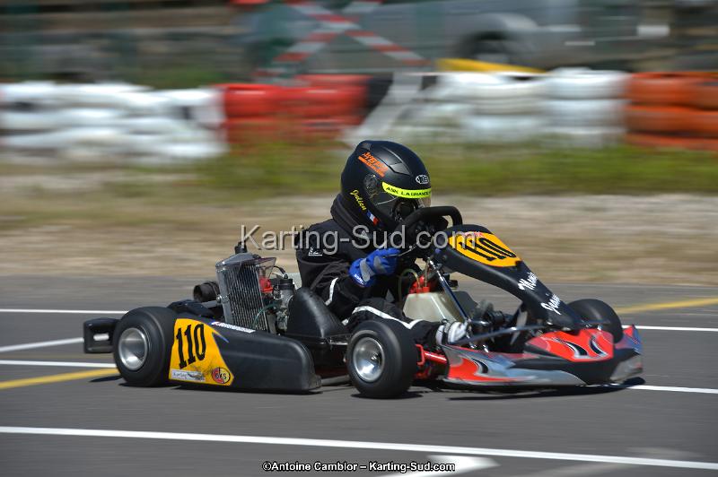 DSC_8274.jpg