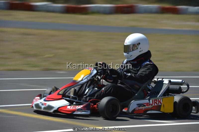 DSC_8295.jpg