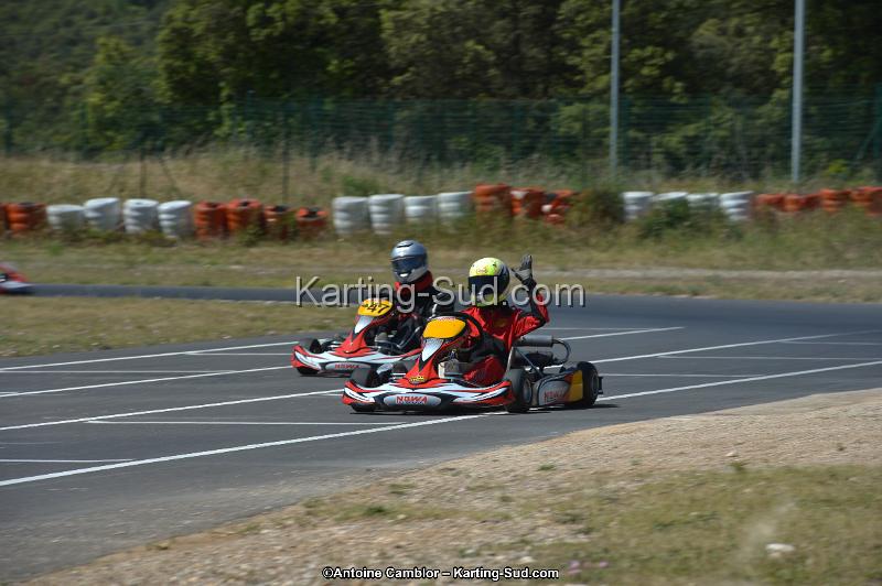 DSC_8298.jpg