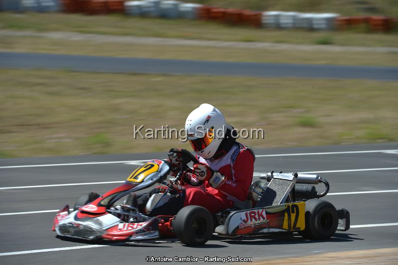 DSC_8310.jpg