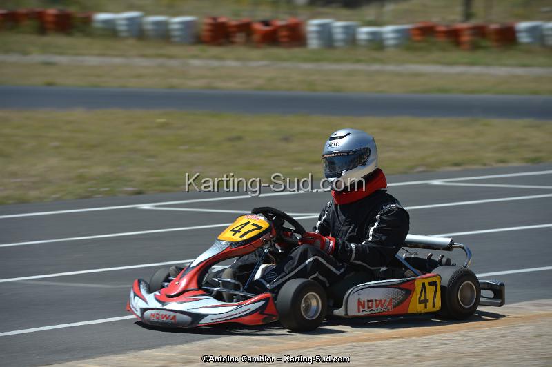 DSC_8329.jpg