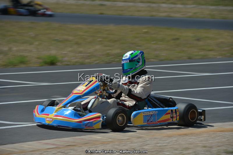 DSC_8341.jpg