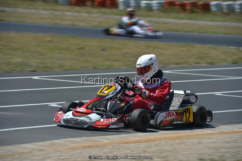 DSC_8346.jpg